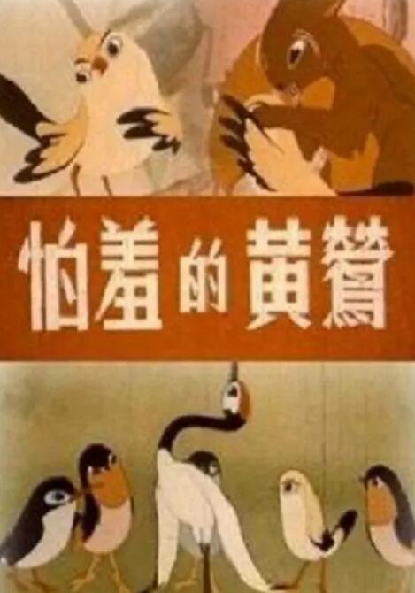 女人第六感